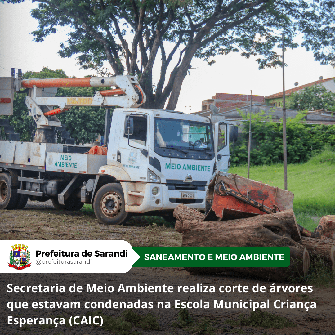 Secretaria de Meio Ambiente realiza corte de árvores que estavam condenadas na Escola Municipal Criança Esperança (CAIC)